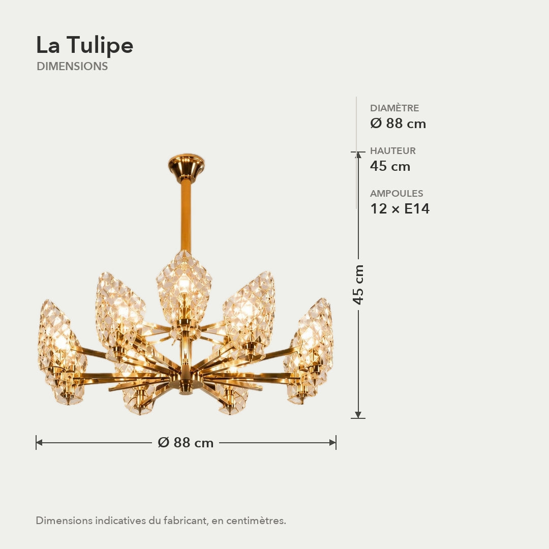 La Tulipe – dimensions en cm